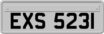 EXS5231