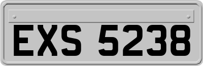 EXS5238