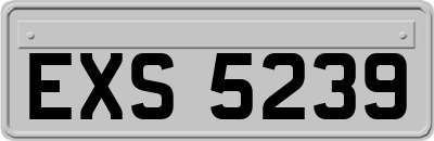 EXS5239