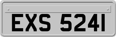 EXS5241