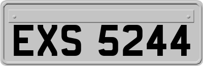 EXS5244