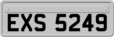 EXS5249