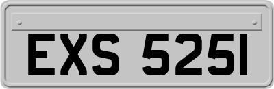 EXS5251
