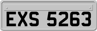 EXS5263