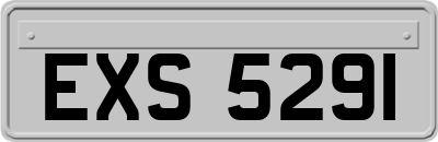 EXS5291