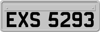 EXS5293