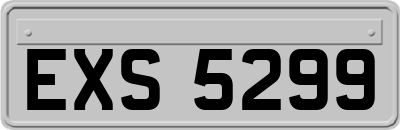 EXS5299