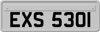 EXS5301
