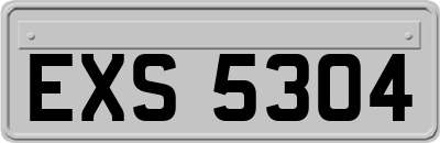 EXS5304