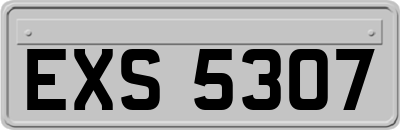 EXS5307