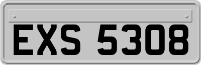 EXS5308