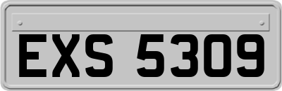 EXS5309