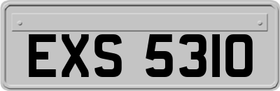 EXS5310