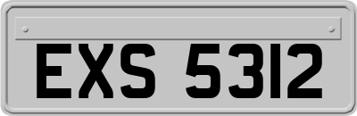 EXS5312