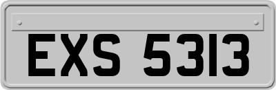 EXS5313