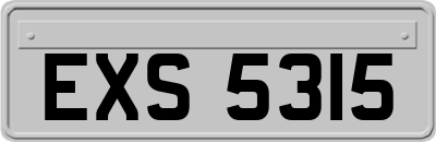 EXS5315