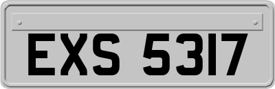 EXS5317