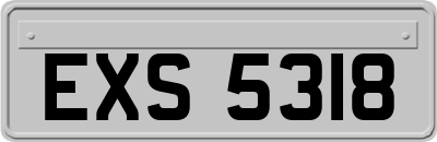 EXS5318