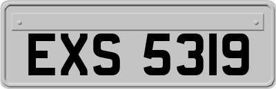 EXS5319