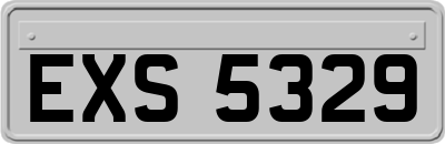 EXS5329