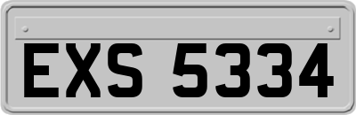 EXS5334