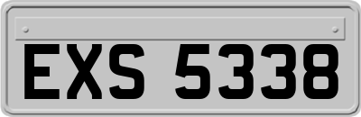 EXS5338