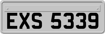 EXS5339