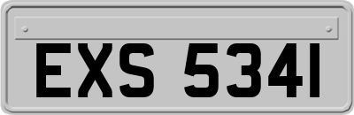 EXS5341