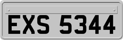 EXS5344