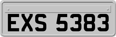 EXS5383