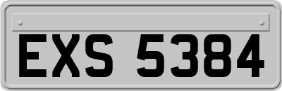 EXS5384