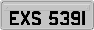 EXS5391