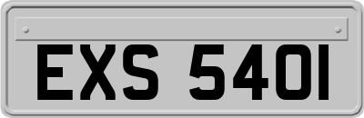 EXS5401