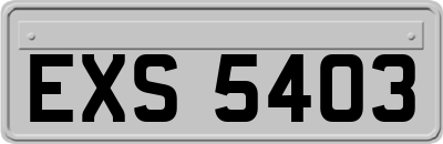 EXS5403