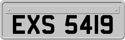 EXS5419