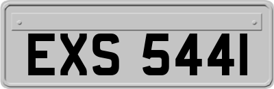 EXS5441