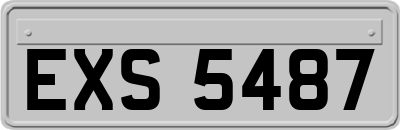EXS5487