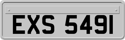 EXS5491