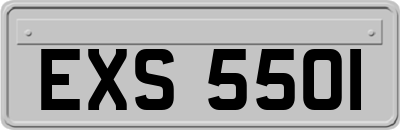 EXS5501