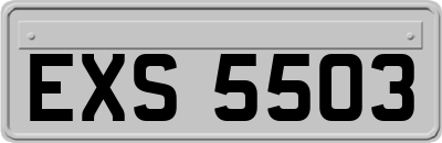 EXS5503