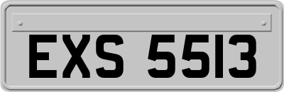 EXS5513