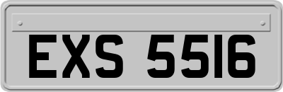 EXS5516