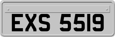 EXS5519