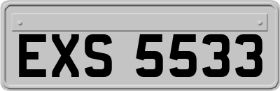 EXS5533