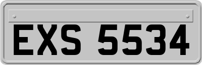 EXS5534