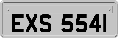 EXS5541