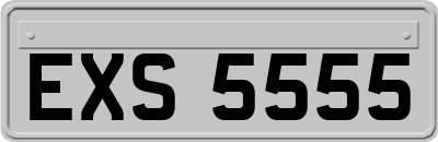 EXS5555