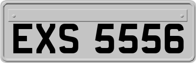 EXS5556