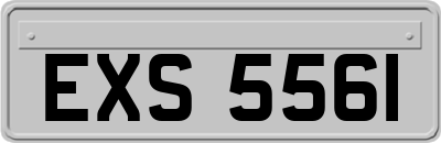 EXS5561