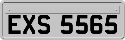 EXS5565
